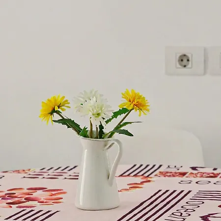 Apartman 1-bedroom New *